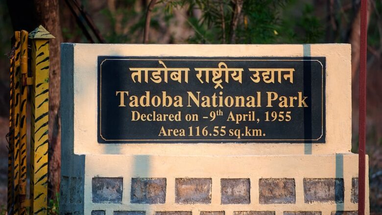 Tadoba National Park – A Complete Travel Guide 