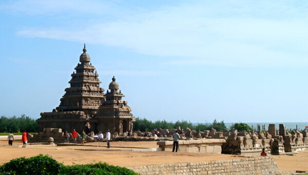 From Temples to Backwaters: A Complete South India Tour Guide